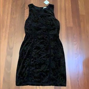 NWOT! Black velvet dress!